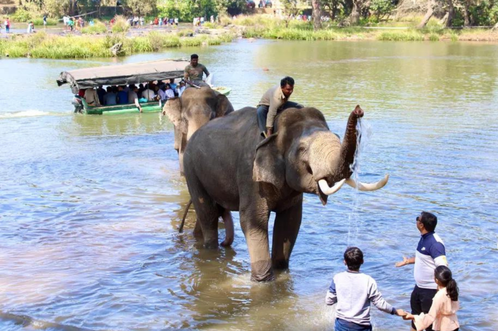 dubare elephant camp