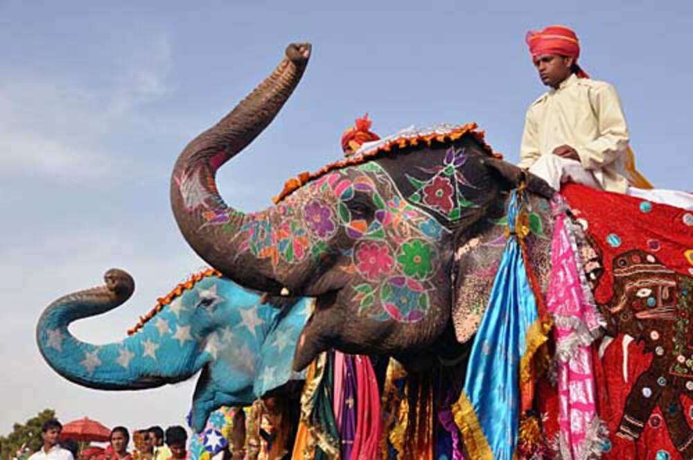 holi in Rajasthan